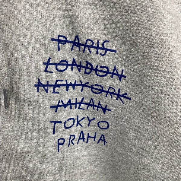 Do Nothing Congress ZIP UP HOODIE " Tokyo Praha " / Do Nothing Congress