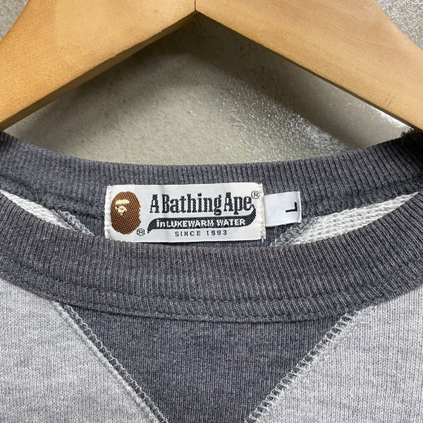 [ ONLY ONE ! ] A BATHING APE SWEAT SHIRT ‘ ASNKA ’ / STREET ARCHIVE PIECES