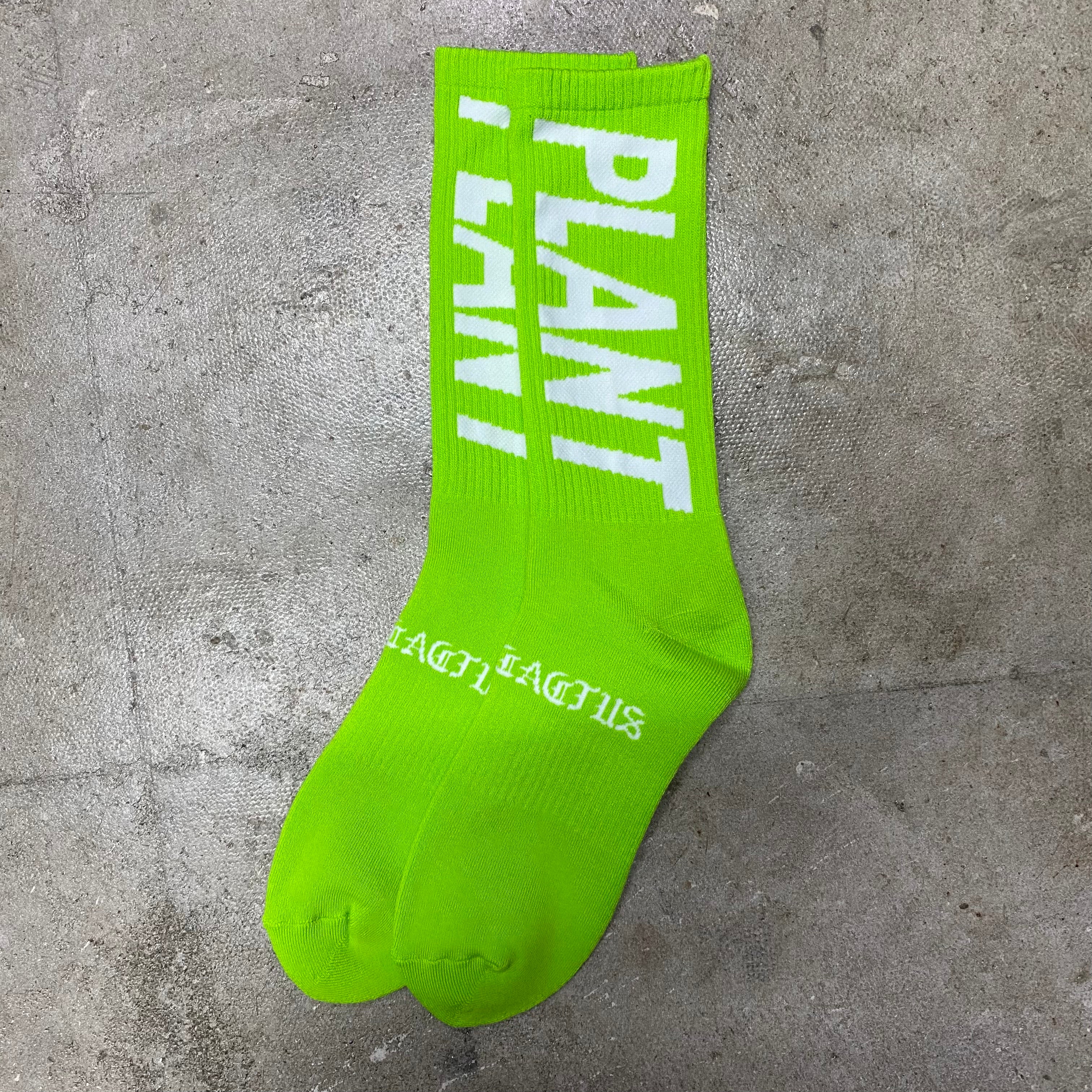 SAINT Mxxxxxx x cactus plant flea market SOCKS ' SNT PLANT ' -COLLABORATION- / Saint Michael