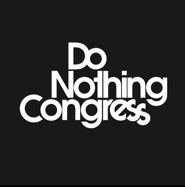 Do Nothing Congress PULL OVER HOODIE  DNC x Thomas Lelu Pull " DO EVERYTHING " / Do Nothing Congress