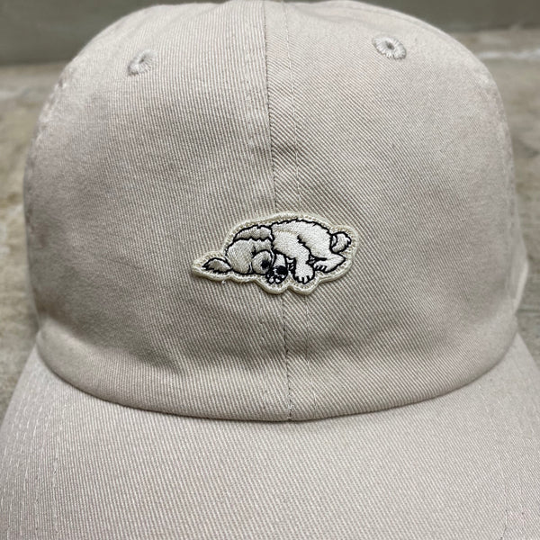Do Nothing Congress CAP " Slumber Dog " / Do Nothing Congress