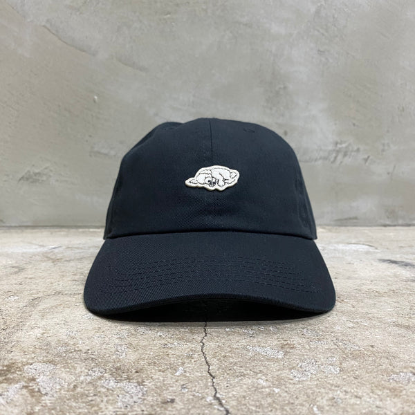 Do Nothing Congress CAP " Slumber Dog " / Do Nothing Congress