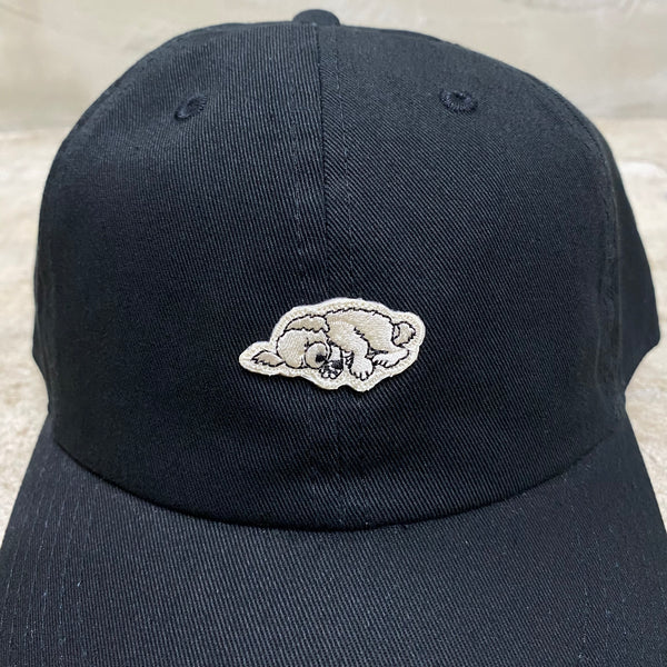 Do Nothing Congress CAP " Slumber Dog " / Do Nothing Congress