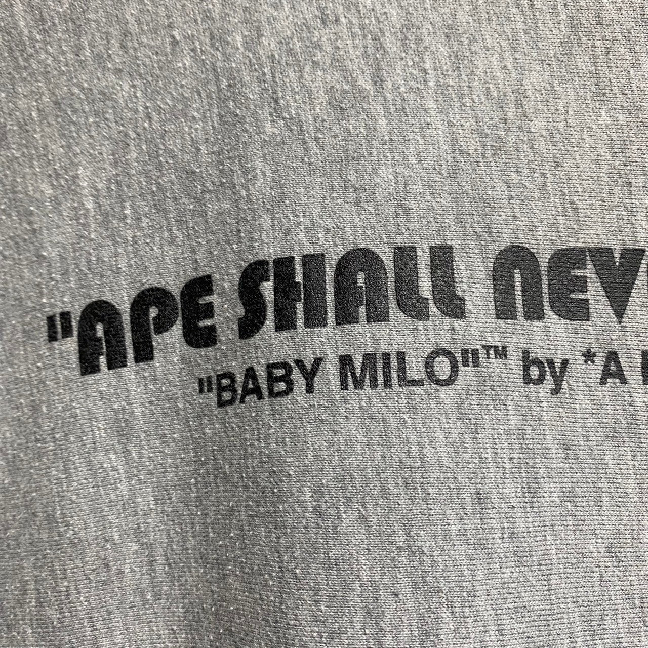 [ ONLY ONE ! ] A BATHING APE CREW NECK SWEAT SHIRT / ARCHIVE