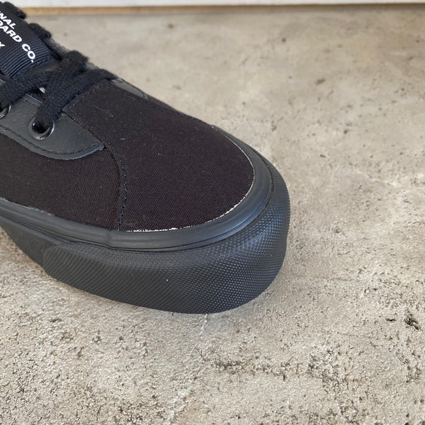 Bold Ni Distort -VANS CLASSIC LINE-